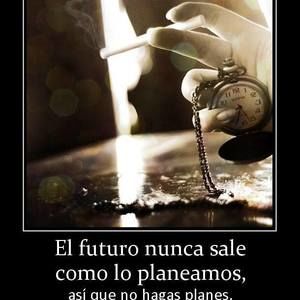 Meet your Posher, Lizbeth